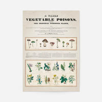 Table of vegetable poisons vintage chart