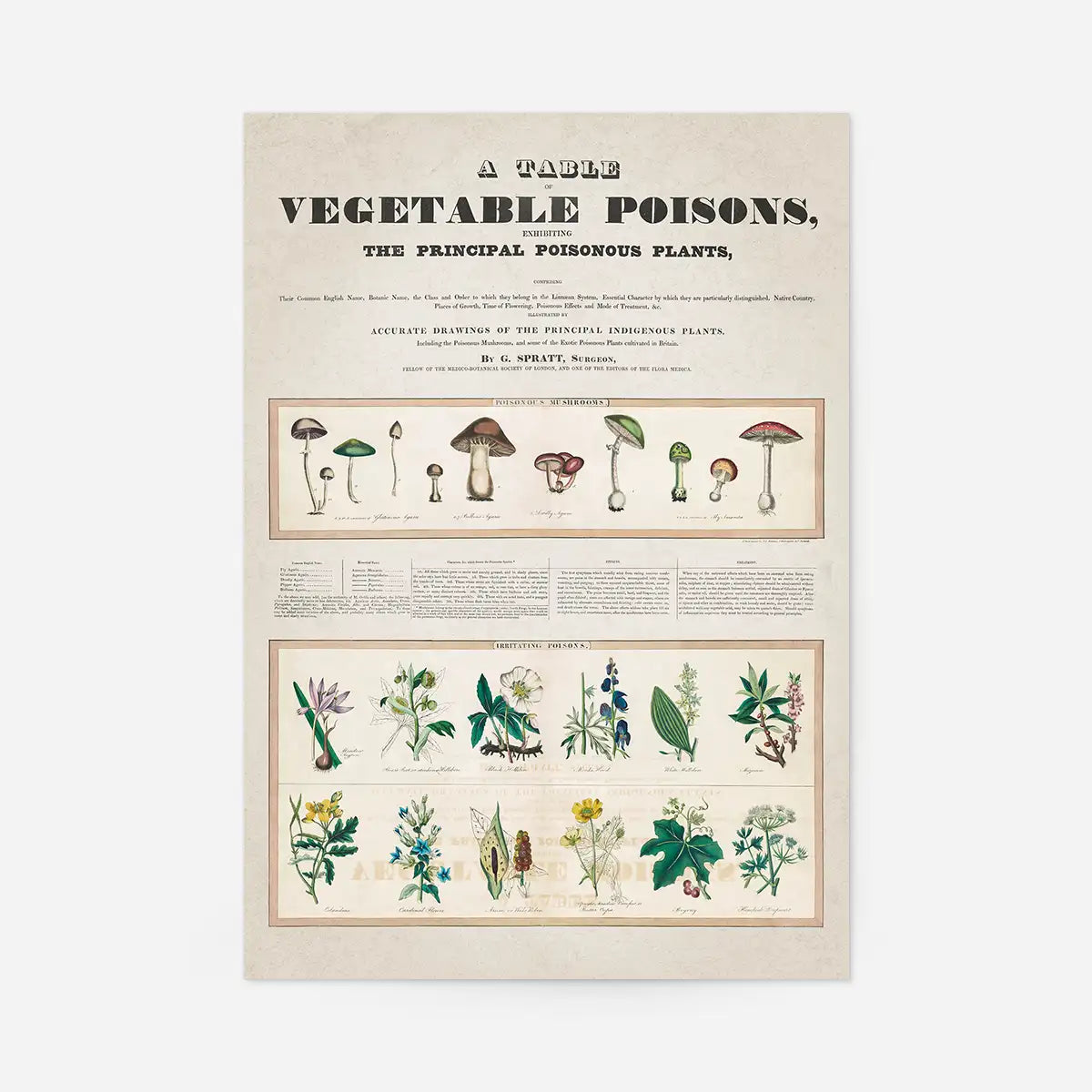 Table of vegetable poisons vintage chart