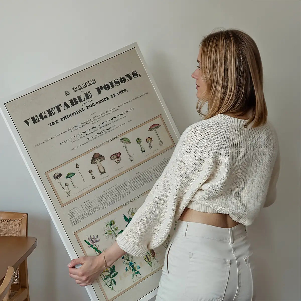 Table of vegetable poisons vintage chart