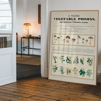 Table of vegetable poisons vintage chart