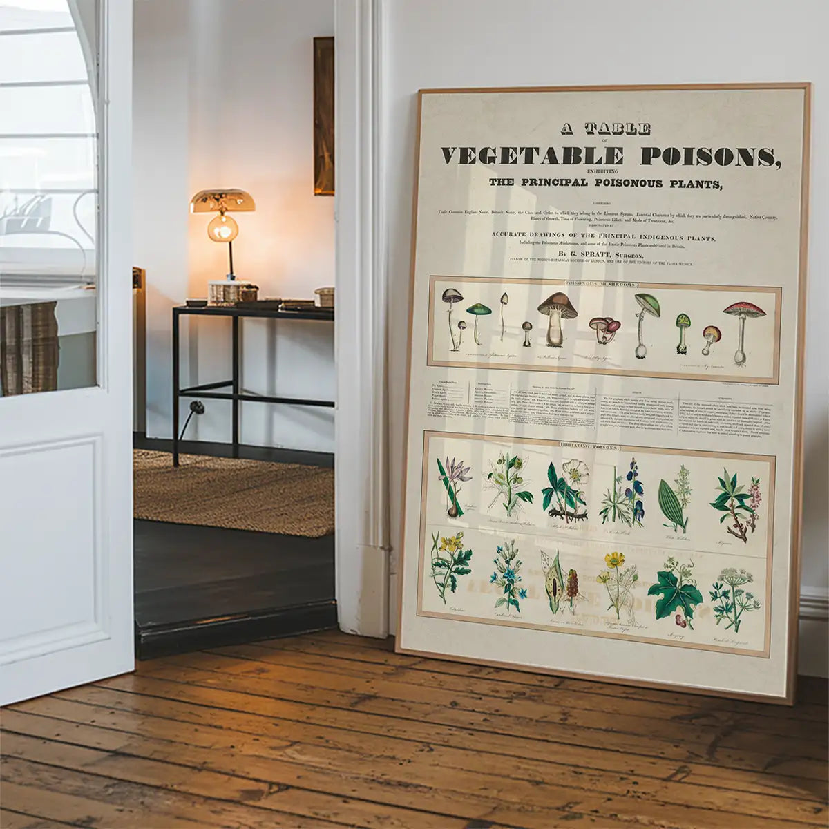 Table of vegetable poisons vintage chart