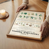 Table of vegetable poisons vintage chart