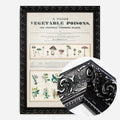 Black Ornate Frame