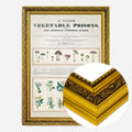 Gold Ornate Frame