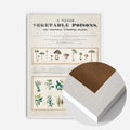 White Wood Frame