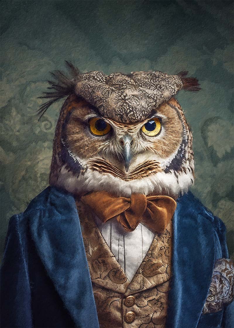 Owl Animal Portrait Print 21x30cm Matte Clearance Print