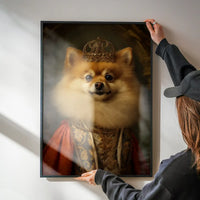 Pomeranian Animal Portrait Print