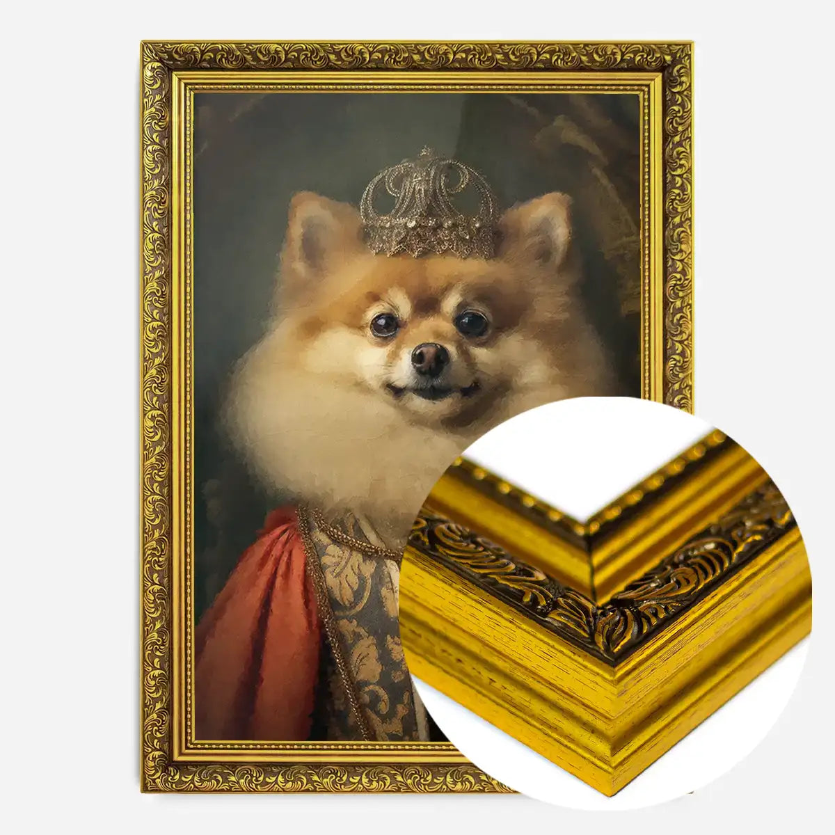 Pomeranian Animal Portrait Print