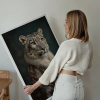 Snow Leopard 1 Animal Portrait Print