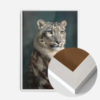 Snow Leopard 1 Animal Portrait Print