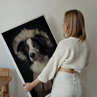 Border Collie Dog Portrait Print