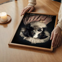 Border Collie Dog Portrait Print