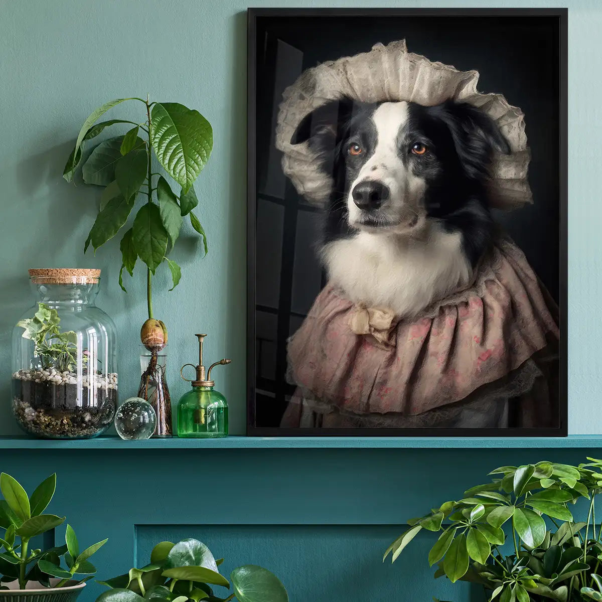 Border Collie Dog Portrait Print