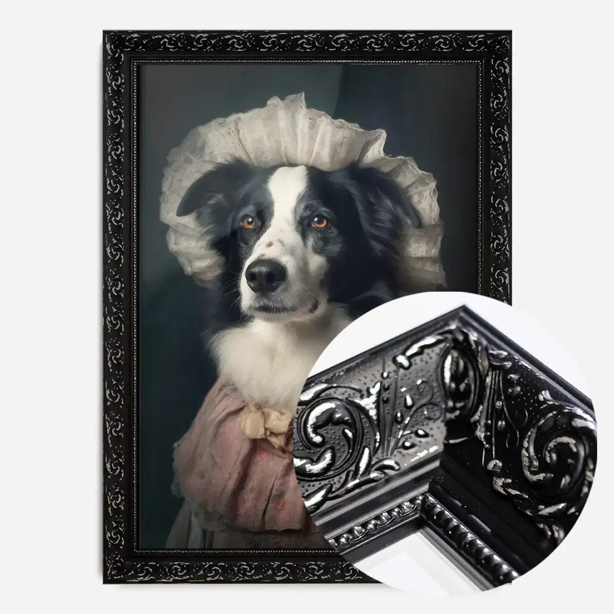Border Collie Dog Portrait Print