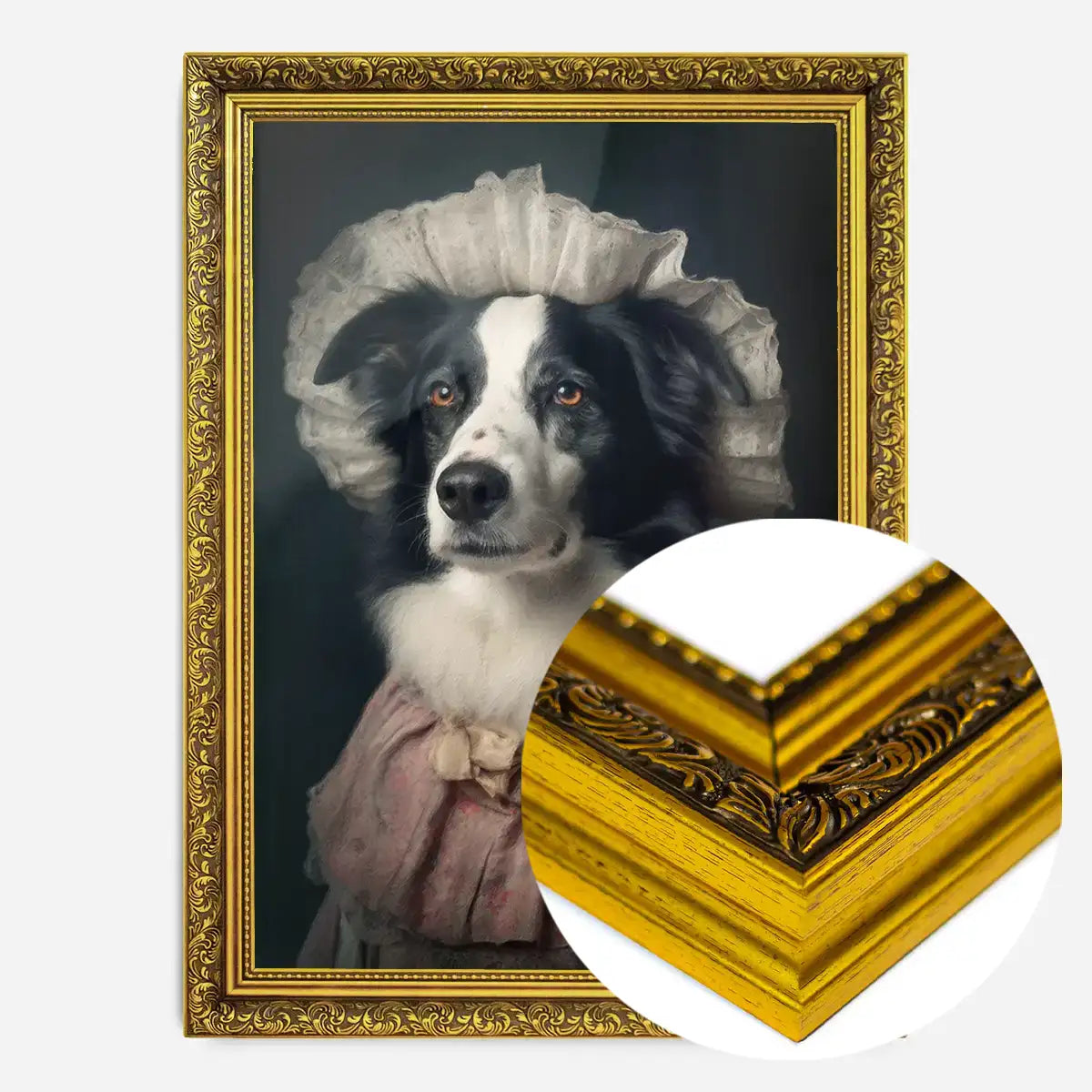 Border Collie Dog Portrait Print