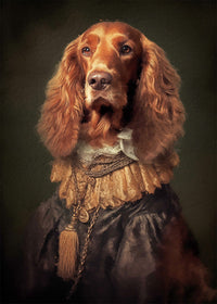 Irish Setter Dog Portrait Print