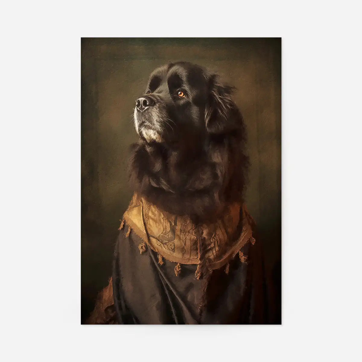 Newfoundland Dog Portrait Print