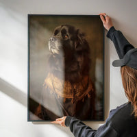 Newfoundland Dog Portrait Print