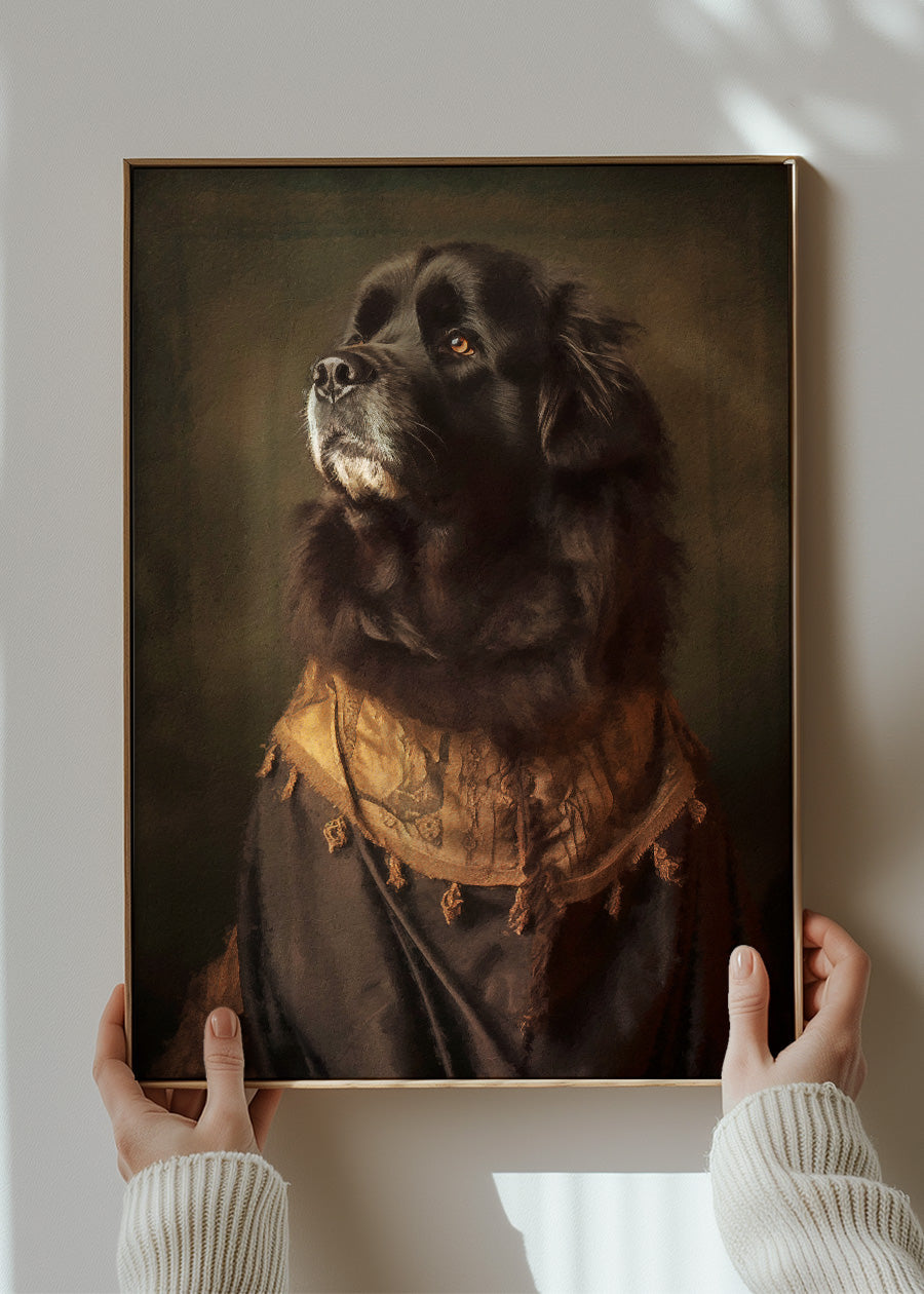 Newfoundland Dog Portrait Print