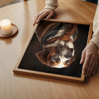 St Bernard Dog Portrait Print
