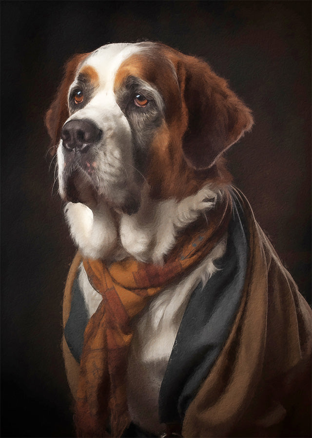 St Bernard Dog Portrait Print