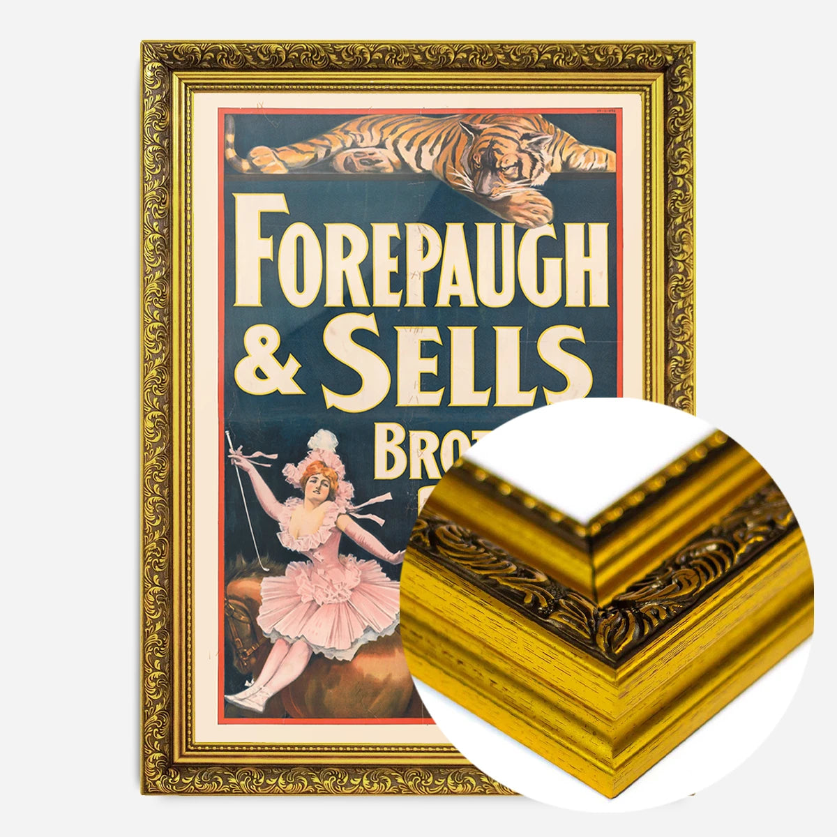 vintage circus tiger poster print in a gold ornate frame, side profile