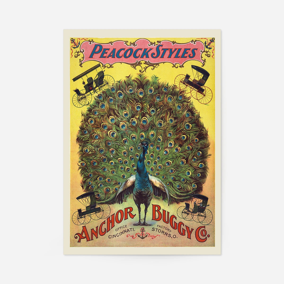 Vintage peacock poster with fanned tail and four antique buggies, Peacock Styles by Anchor Buggy Co.