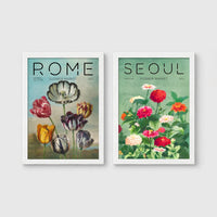 Set of 2 framed prints, painterly flower market prints: a "Rome Flower Market" painterly tulip illustration; and a "Seoul Flower Market" painterly zinnia illustration — unframed