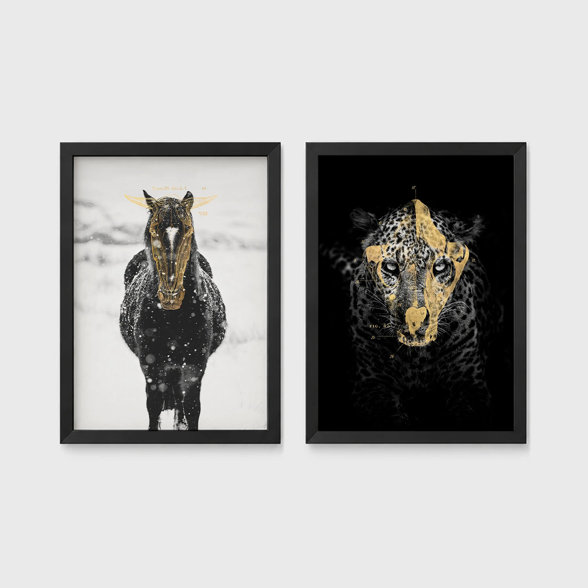 Set of 2 framed prints, animals with gold-painted highlights: a black and white horse in snow with gold-painted highlights; and a black leopard portrait with gold facial markings on black — unframed