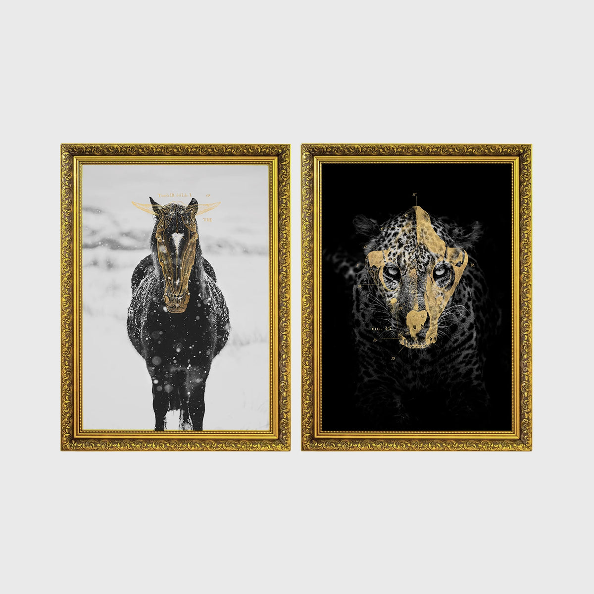 Set of 2 framed prints, animals with gold-painted highlights: a black and white horse in snow with gold-painted highlights; and a black leopard portrait with gold facial markings on black — unframed