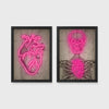 Set of 2 framed prints, neon anatomical illustrations: a neon pink anatomical heart illustration; and a neon pink skeleton skull and ribcage illustration — unframed