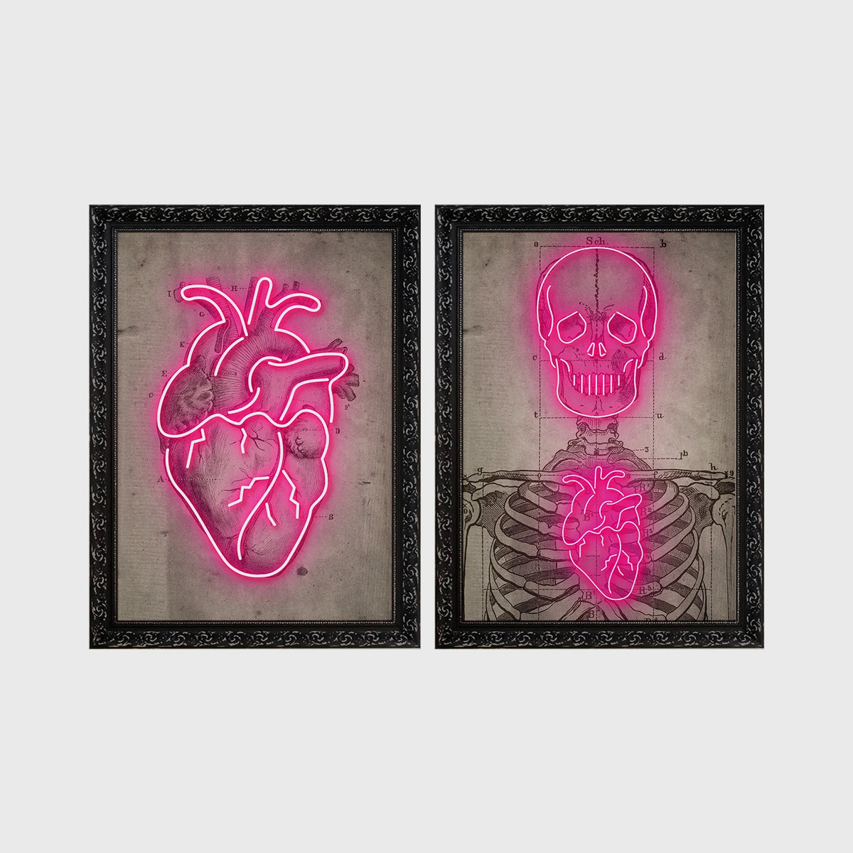 Set of 2 framed prints, neon anatomical illustrations: a neon pink anatomical heart illustration; and a neon pink skeleton skull and ribcage illustration — unframed