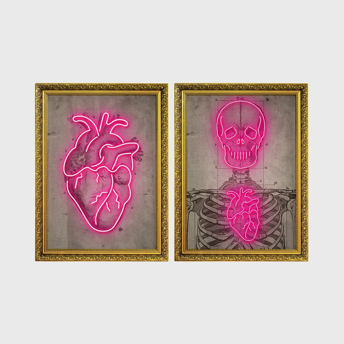 Set of 2 framed prints, neon anatomical illustrations: a neon pink anatomical heart illustration; and a neon pink skeleton skull and ribcage illustration — unframed