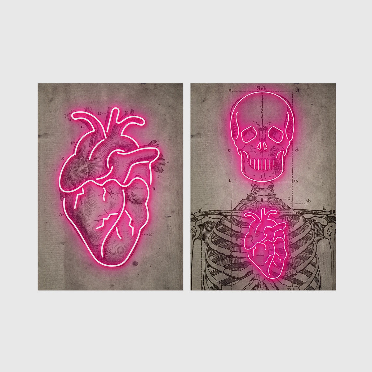 Set of 2 framed prints, neon anatomical illustrations: a neon pink anatomical heart illustration; and a neon pink skeleton skull and ribcage illustration — unframed