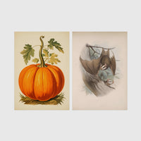 2 Prints & Frames - Halloween Bundle 3