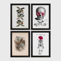 4 Prints & Frames - Halloween Bundle 4