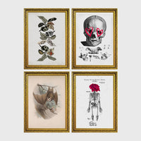 4 Prints & Frames - Halloween Bundle 4