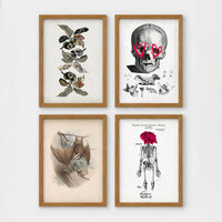 4 Prints & Frames - Halloween Bundle 4