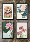 4 Prints & Frames - Japanese Florals