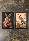 2 Prints & Frames - PEACH FUZZ HERON & HARE