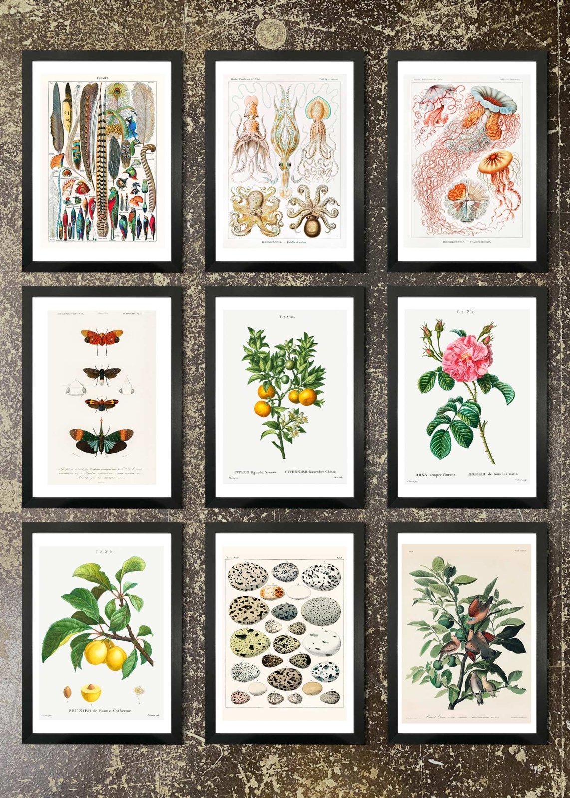 9 Prints & Frames - Vintage Prints 2