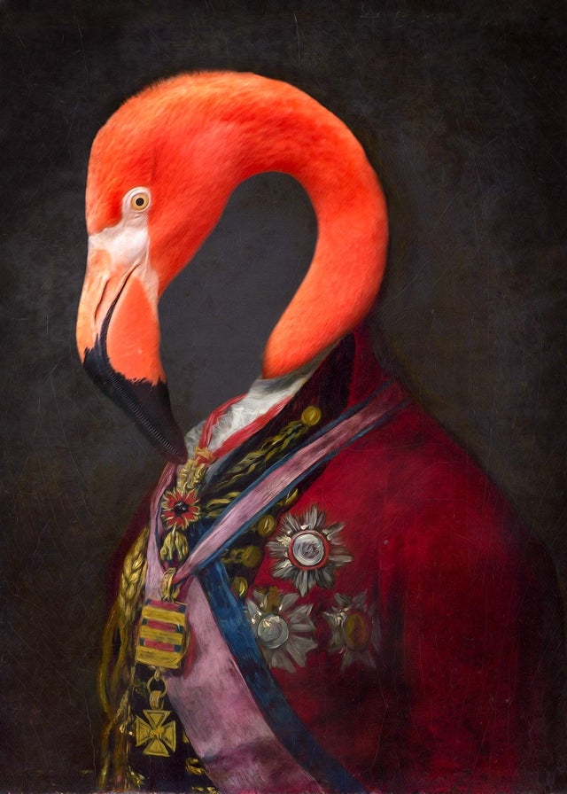 Flamingo Portrait Print 21x30cm Matte Clearance Print