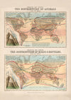 Zoological map of the distribution of animals art print