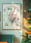 Geological map of Scotland art print