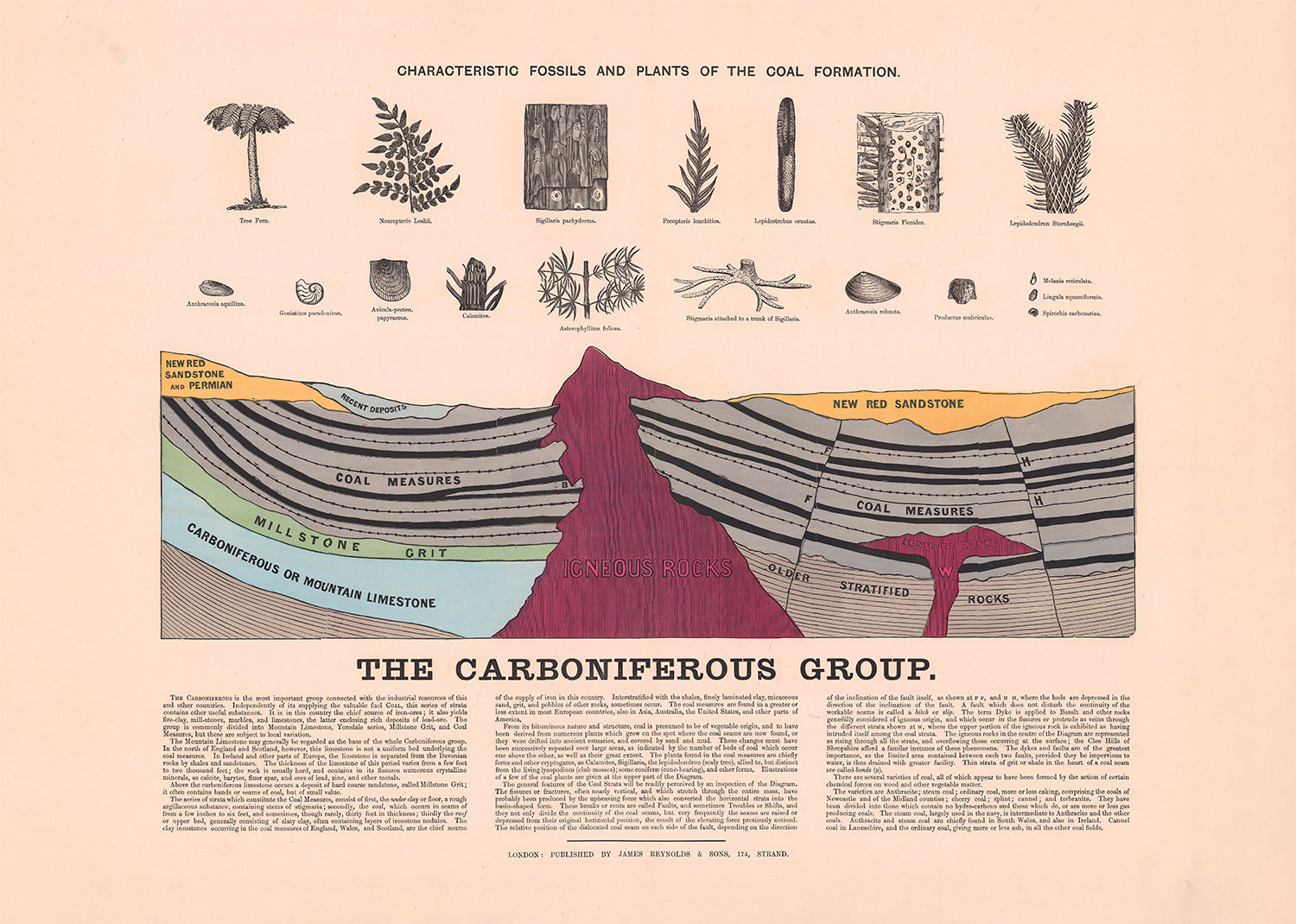 The Carboniferous Group 1878 James Reynolds art print