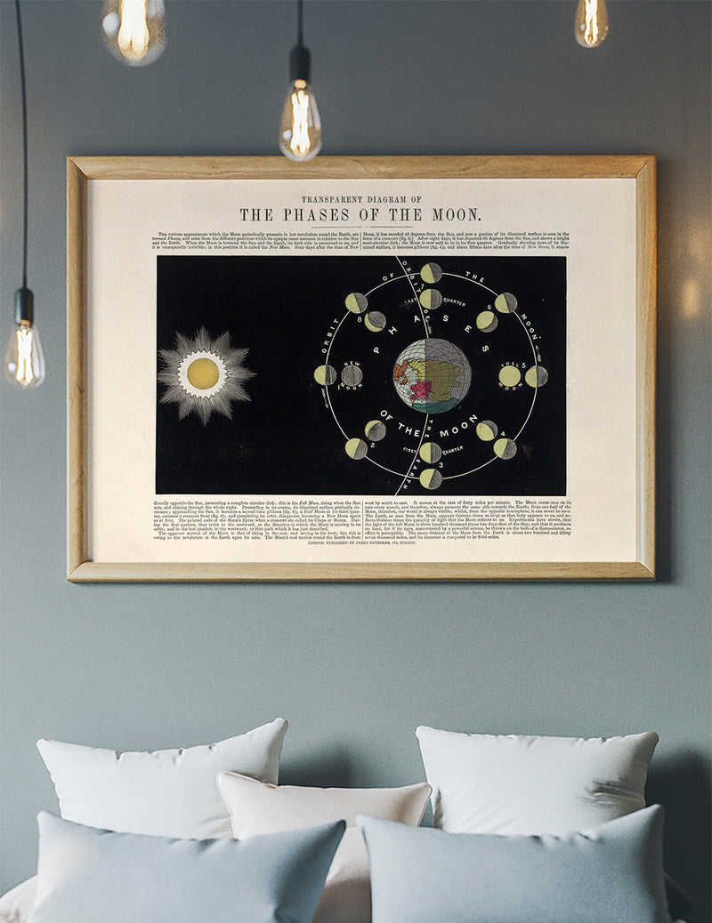 Transparent diagram of the phases of the Moon art print