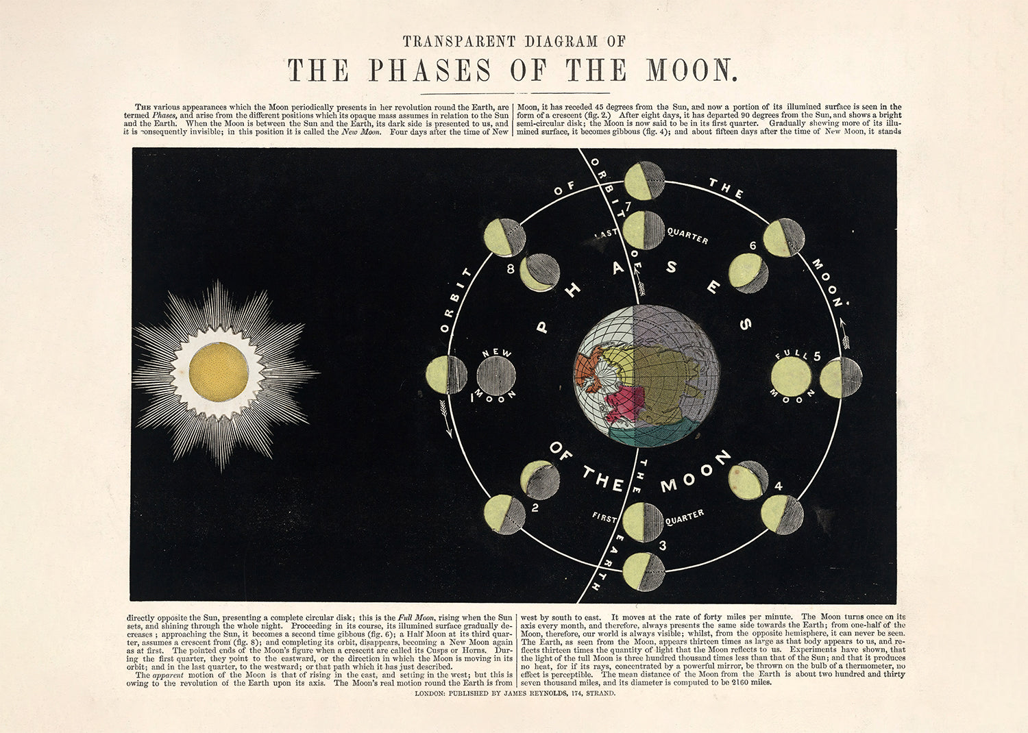 Transparent diagram of the phases of the Moon art print