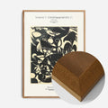 Oak Wood Frame