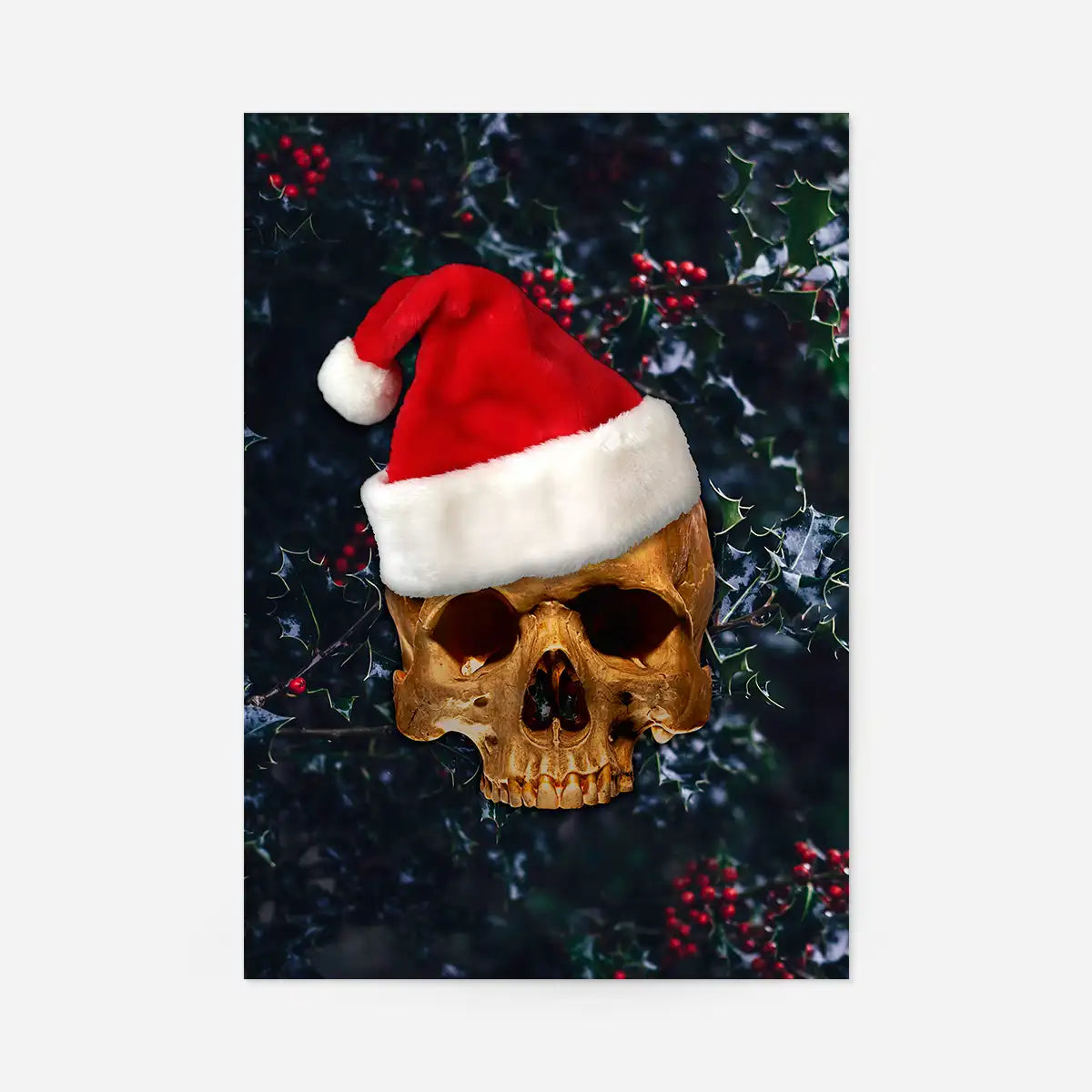 Santa Gold Skull Print