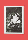 White Dove A6 Christmas Greetings Card